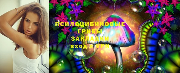 Альфа ПВП Абаза