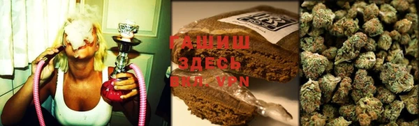 сатива Осинники