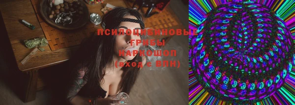 сатива Осинники