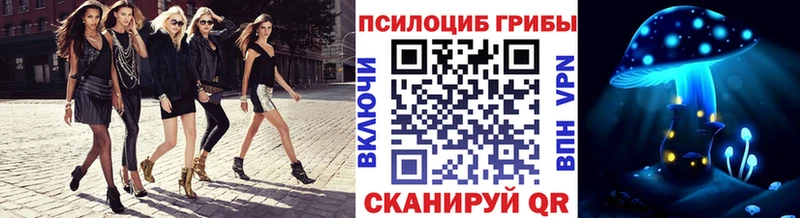 Псилоцибиновые грибы Psilocybe  Хилок 
